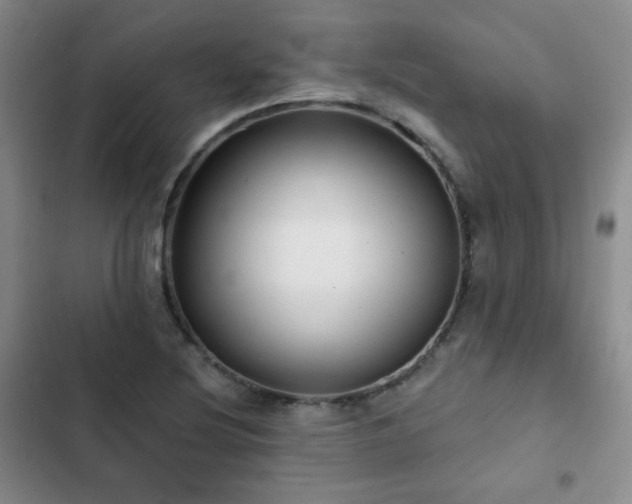 X0000103151220200808221322