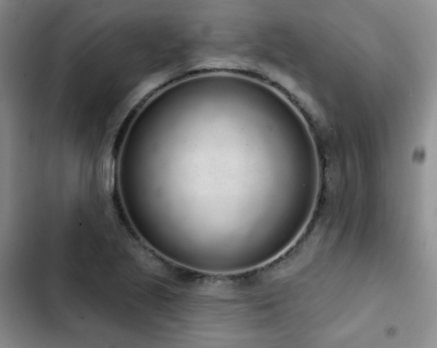 X0000103151221200808221323