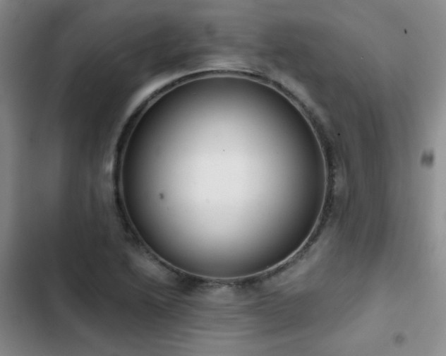 X0000103151222200808221323