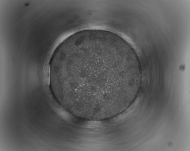 X0000103151223200808221323