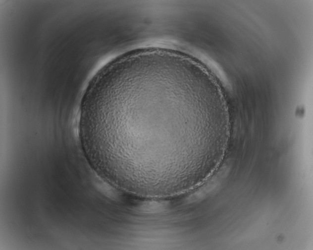 X0000103151224200808221323