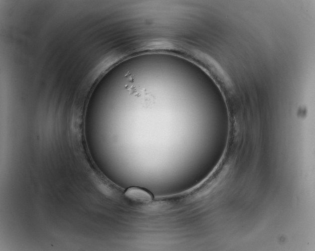 X0000103151225200808221323