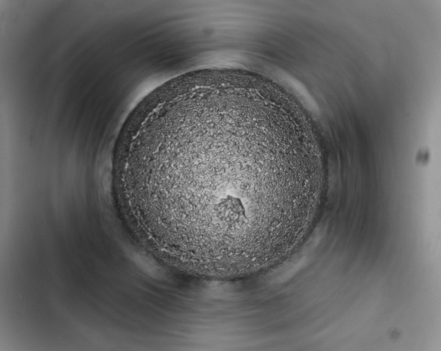 X0000103151226200808221323