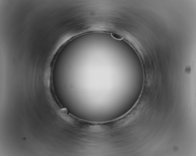X0000103151227200808221323