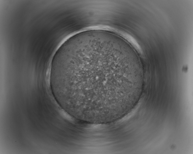 X0000103151228200808221323