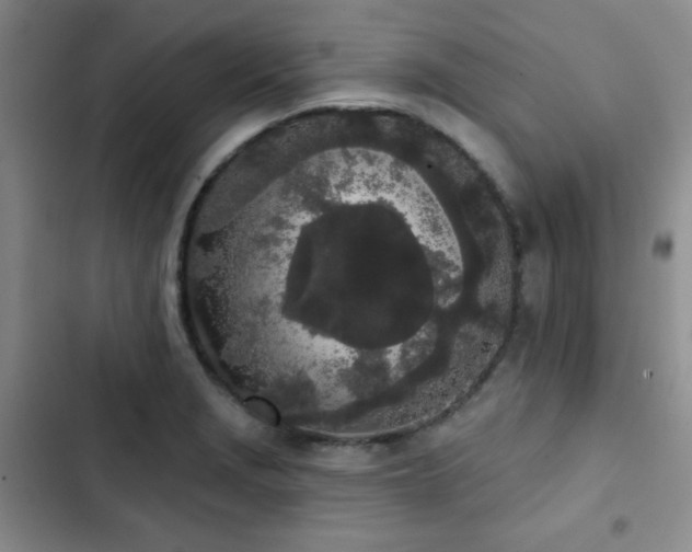 X0000103151229200808221323