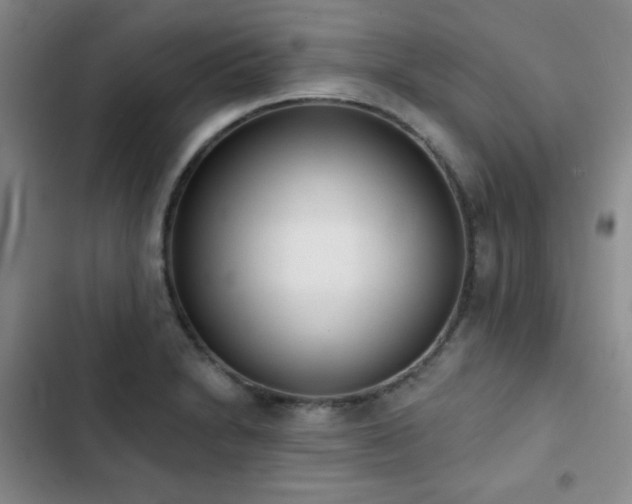 X0000103151230200808221323