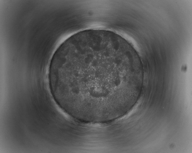 X0000103151231200808221323