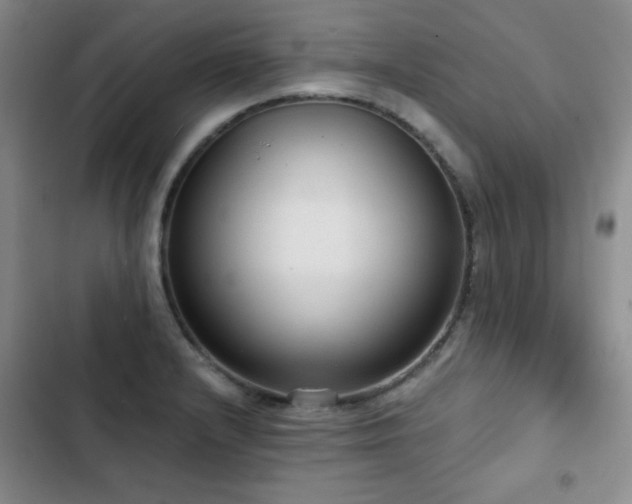 X0000103151232200808221323
