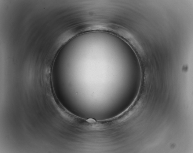 X0000103151233200808221323