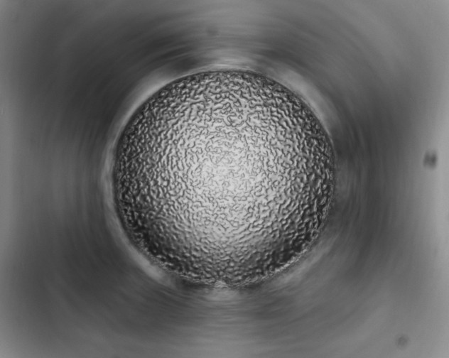 X0000103151235200808221323