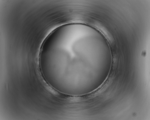 X0000103151236200808221323