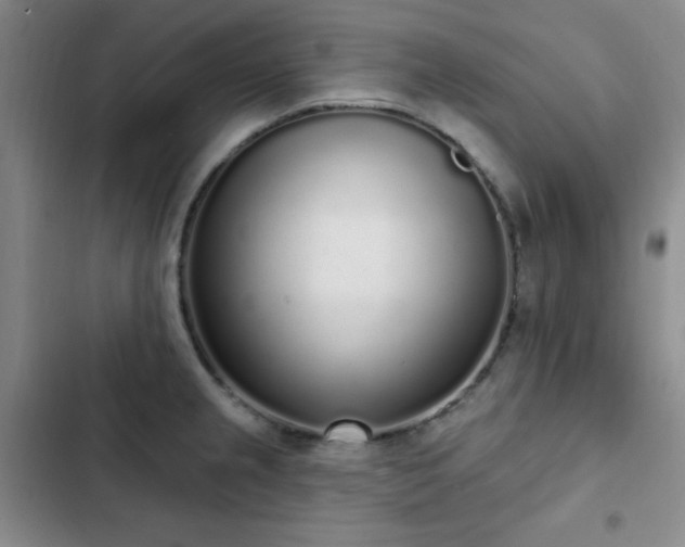 X0000103151237200808221323
