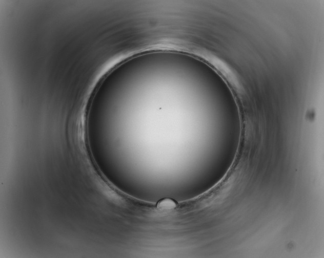 X0000103151238200808221323