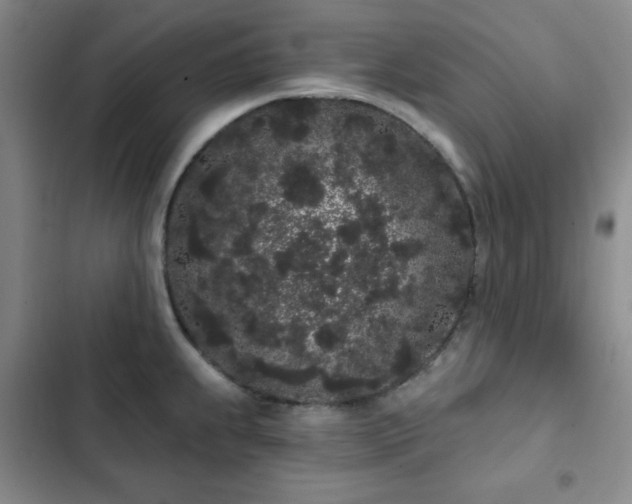 X0000103151239200808221323