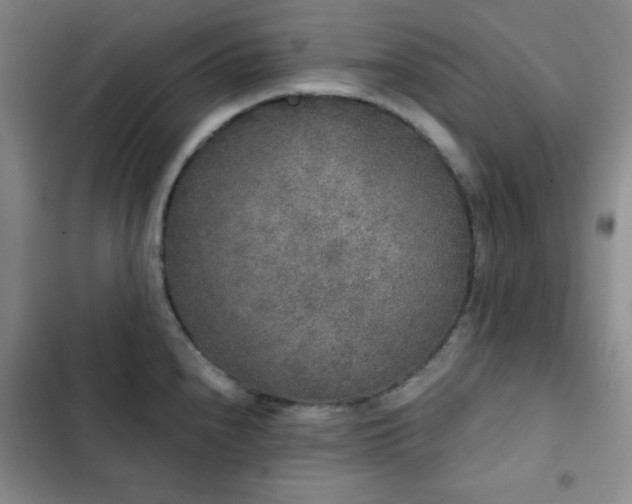 X0000103151240200808221323