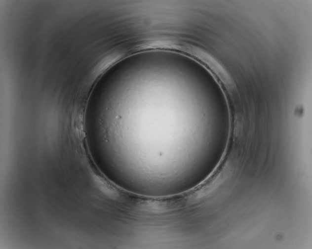 X0000103151241200808221323