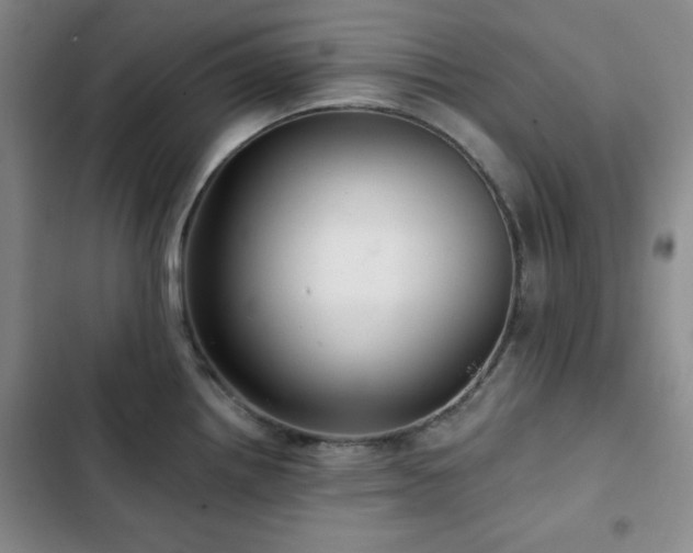 X0000103151242200808221323