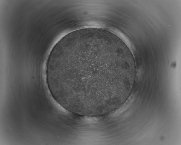 X0000103151243200808221323