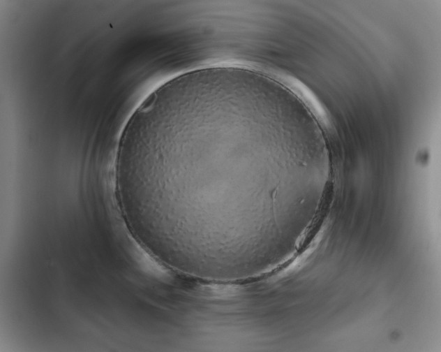 X0000103151244200808221323