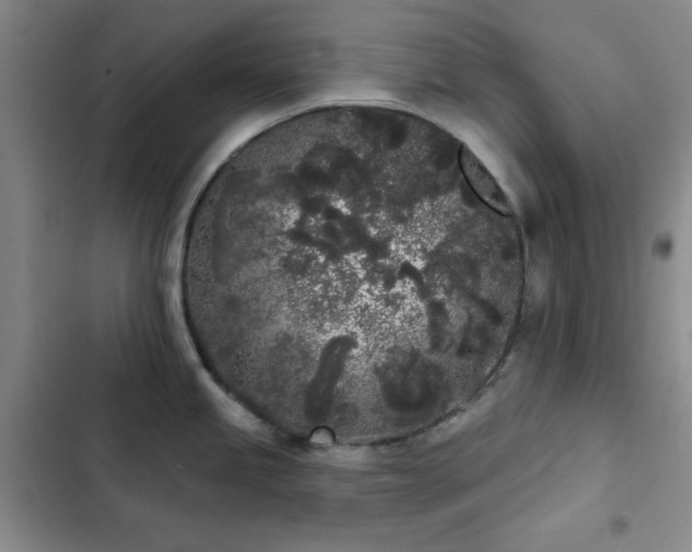 X0000103151245200808221323