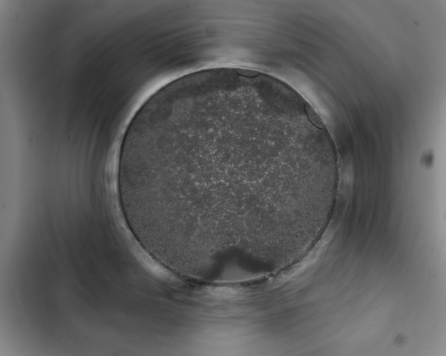 X0000103151246200808221323