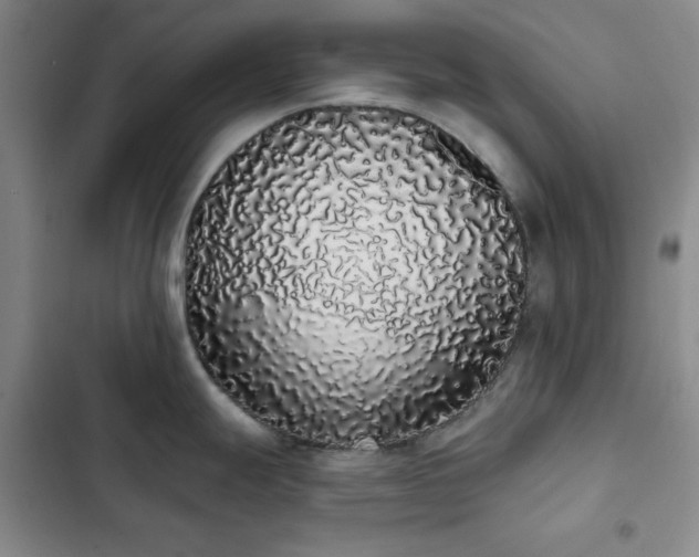 X0000103151247200808221323
