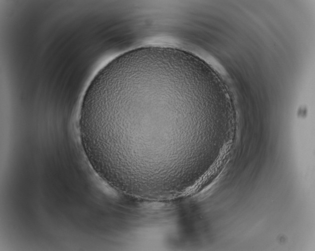 X0000103151248200808221323