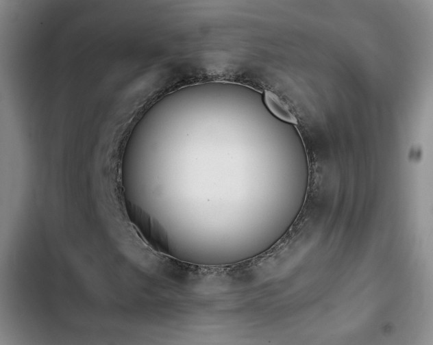 X0000103151249200808221322