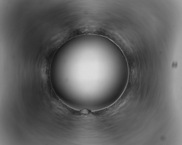 X0000103151250200808221322