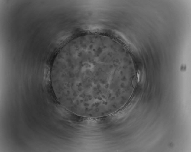 X0000103151251200808221322