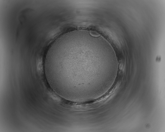 X0000103151252200808221322