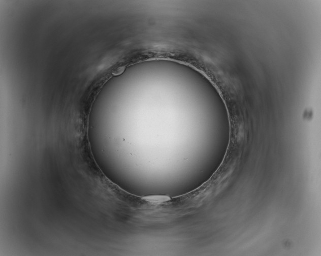 X0000103151253200808221322