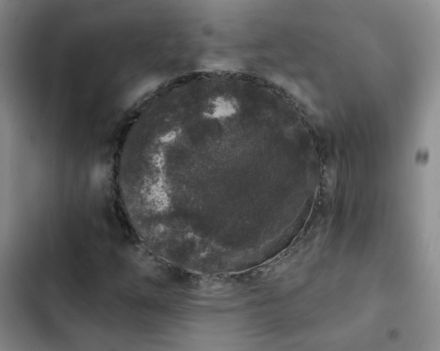 X0000103151254200808221322