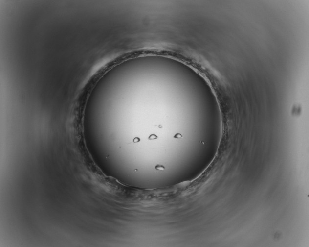 X0000103151256200808221322