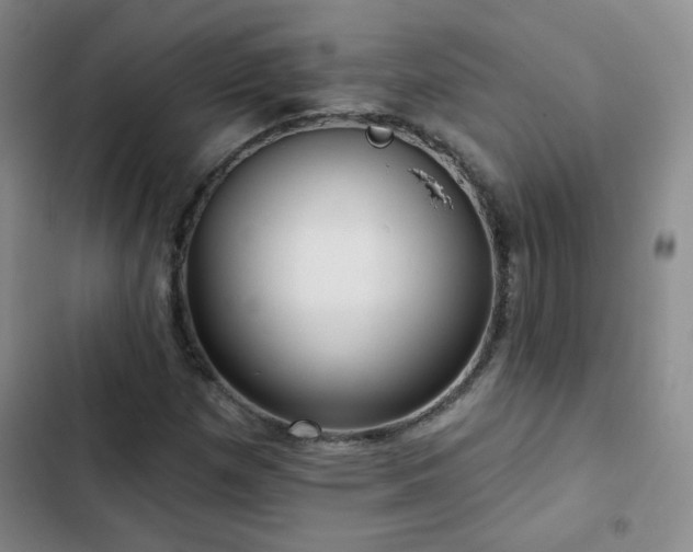 X0000103151257200808221322