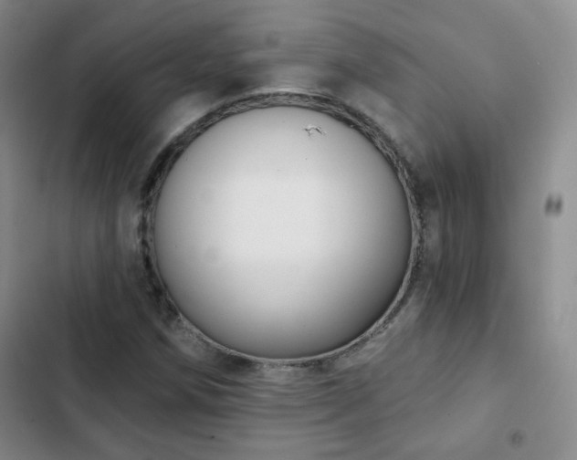 X0000103151258200808221322
