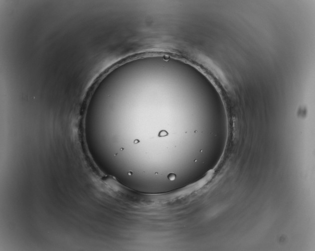X0000103151260200808221322