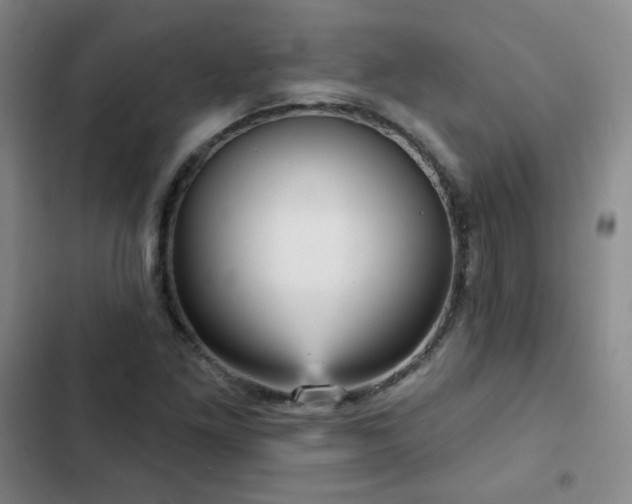 X0000103151261200808221322