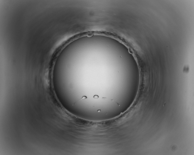X0000103151262200808221322