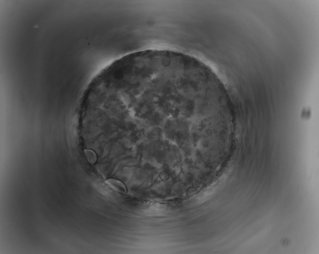 X0000103151263200808221322