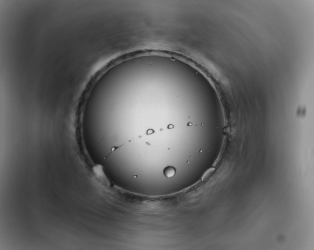 X0000103151264200808221322
