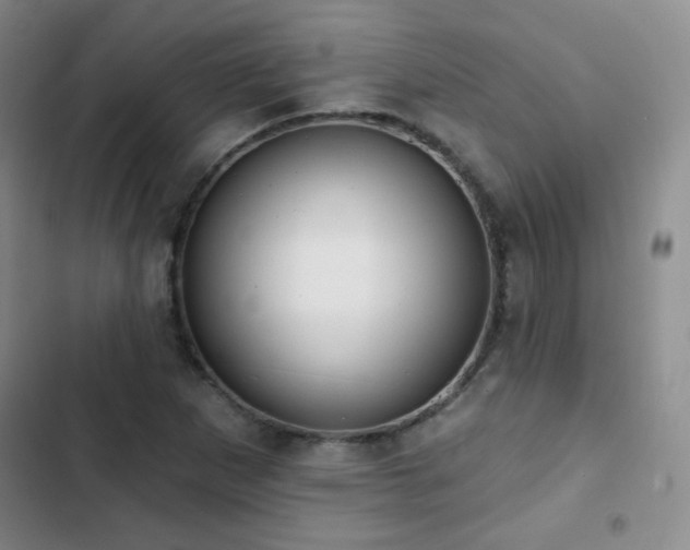 X0000103151265200808221322