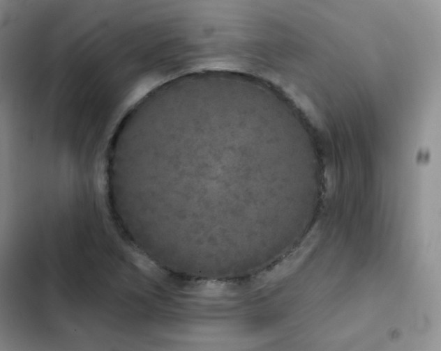 X0000103151266200808221322