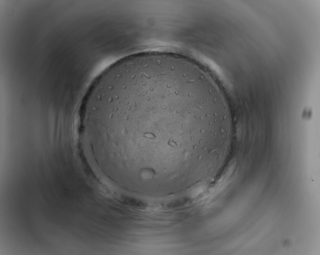 X0000103151267200808221322