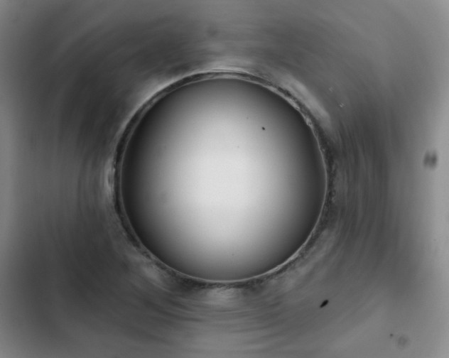 X0000103151268200808221322