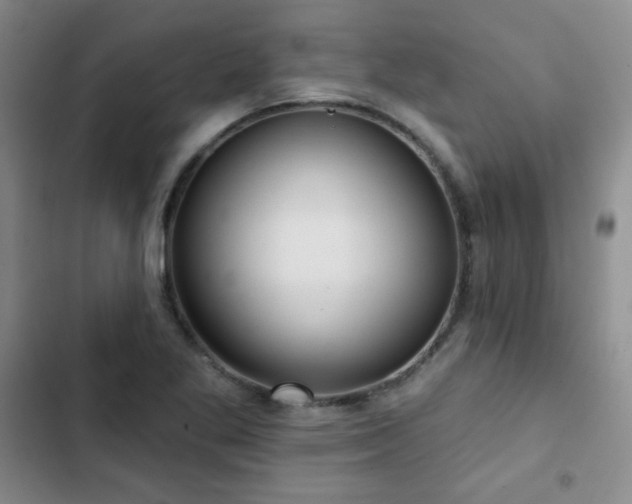X0000103151269200808221322