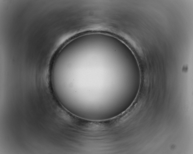X0000103151270200808221322