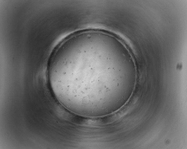 X0000103151271200808221322
