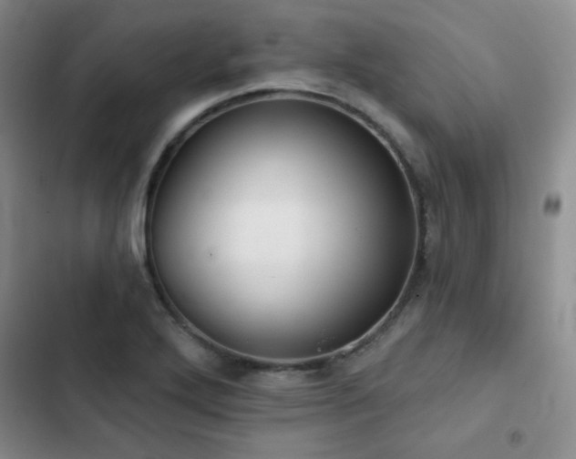 X0000103151272200808221322